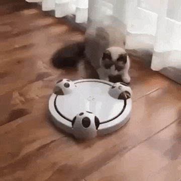 Fannab giphygifmaker GIF