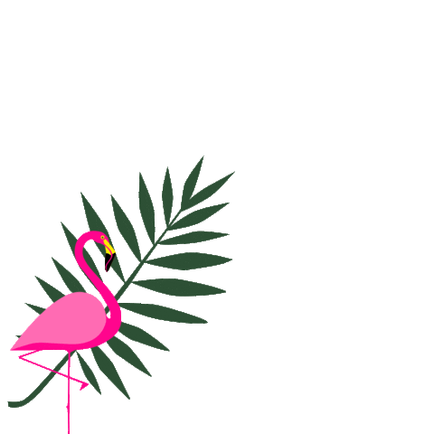 jungle flaming Sticker by Colorshake