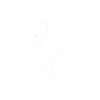 Summer Flower Sticker