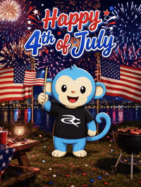 Independence Day Usa GIF by Respective