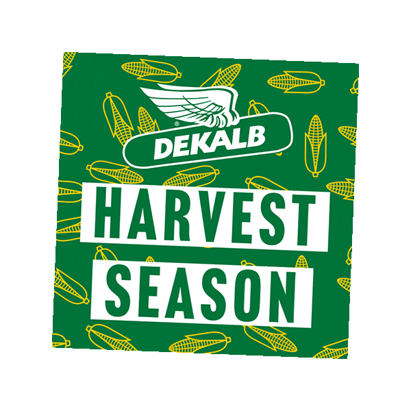 Corn Harvest Sticker by DEKALB Asgrow Deltapine