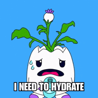 Stay Hydrated Water Bottle GIF by Magic Eden