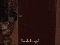 season 3 netflix GIF by Gilmore Girls 
