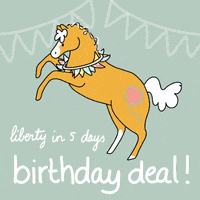 GIF by Happy Horsemanship TV