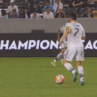 GIF by LA Galaxy