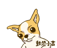 Animation Dog GIF