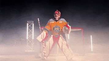 Hockey GIF by Toledo Walleye