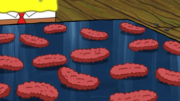 season 9 episode 6 GIF by SpongeBob SquarePants