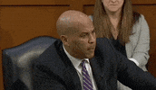 Senate Judiciary Committee GIF by GIPHY News