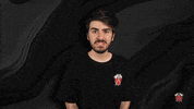 Oh No Wtf GIF by Tribe Gaming