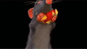 Remy Ratatouille GIF