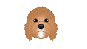 Dog Puppy Sticker by zoopeez