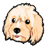 Doodle Ellie Sticker by Neat Pets Mementos