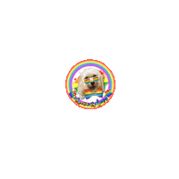 Love Is Love Lgbt Sticker by Pimp Yo Pets