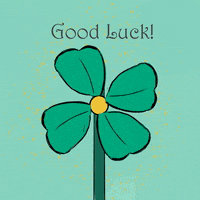 Fun Good Luck GIF