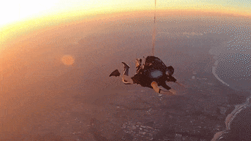 skydiveaus jump fly adventure flying GIF