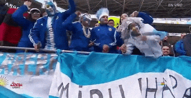 copa america centenario argentina GIF