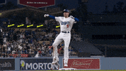 Major League Baseball Sport GIF by MLB