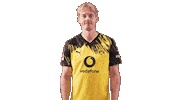 Borussia Dortmund Love Sticker by Bundesliga
