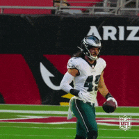 Regular Season Football GIF by NFL