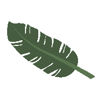 Banana Leaf Sticker