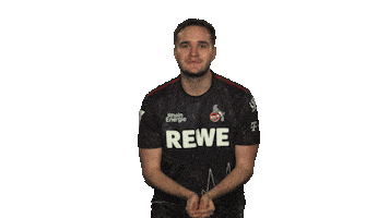 Sk Gaming Fifa Sticker by Bundesliga