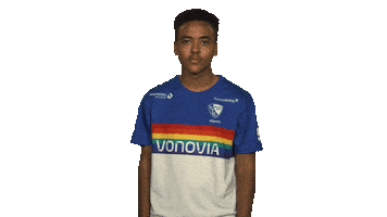 Peace Fifa Sticker by Bundesliga