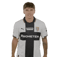 Goal Sticker by Parma Calcio 1913