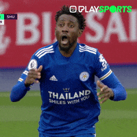 Premier League Frustratie GIF by Play Sports