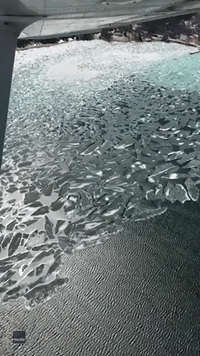 Thawing Michigan Lake Leaves Behind Array of Geometric Ice Shards