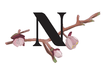 design flower Sticker by Natuzzi