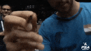 The Artist Signature GIF by PSA