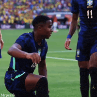 World Cup Fan GIF