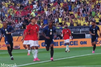 World Cup Fan GIF