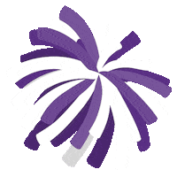 Horned Frogs Tcu Sticker by College Colors Day