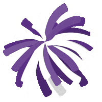 Horned Frogs Tcu Sticker by College Colors Day