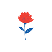 Flower Rode Sticker by Healthy Ageing Network Northern Netherlands