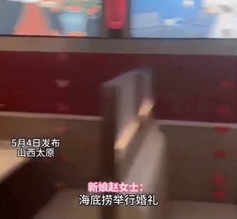 58d4b6a0e8004dd6a499524384e88c9f giphyupload GIF