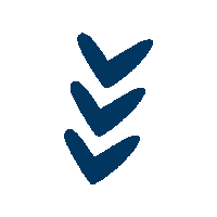 Summer Link Sticker by Air Tahiti Nui