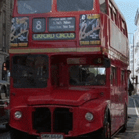 London Flowers GIF by Working Title