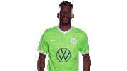 Shut Your Mouth Sticker by VfL Wolfsburg