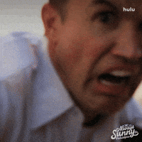 Always Sunny Wtf GIF by It's Always Sunny in Philadelphia