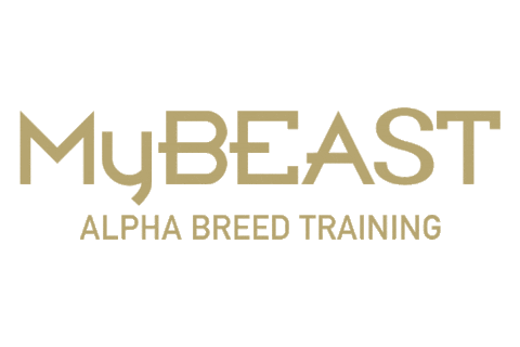 Fitness Workout Sticker by MyEquilibria