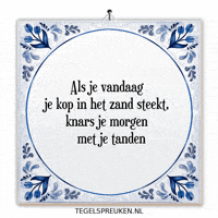 Humor Nl GIF by Tegelspreuken.nl