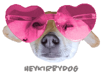 In Love Hearts Sticker