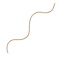 Line Spark Sticker by Sparkling-studios