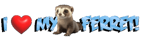 Guinea Pig Love Sticker