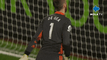 Premier League Football GIF by MolaTV