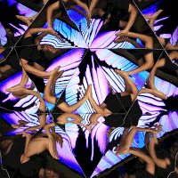 photobooth portrait kaleidoscope timeframe GIF
