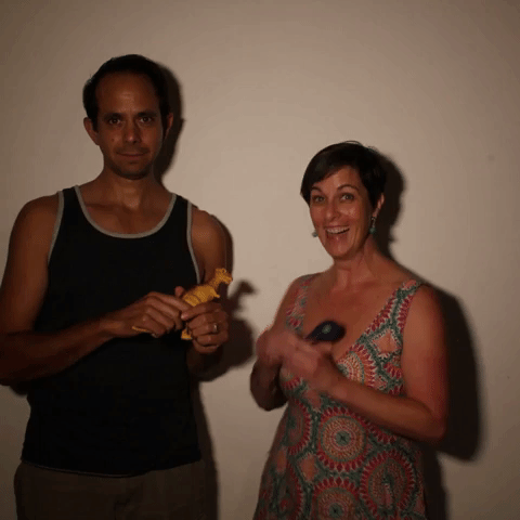 aurora20 rushprocess2018 GIF